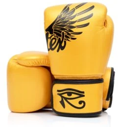 MUAY THAI BOXING GLOVES FAIRTEX - BGV1 FALCON