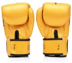 MUAY THAI BOXING GLOVES FAIRTEX - BGV1 FALCON -BOXING GLOVES Shop BOXINGGLOVESBYFAIRTEXBGV1FALCON 2