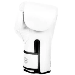 MUAY THAI MICROFIBER BOXING GLOVES FAIRTEX BGV14 - WHITE 7 MUAY THAI MICROFIBER BOXING GLOVES FAIRTEX BGV14 - WHITE -BOXING GLOVES Shop FAIRTEX BGV14 WHITE2