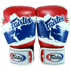 FAIRTEX BOXING GLOVES BGV1 BEST MUAY THAI GLOVES - THAI PRIDE 9 FAIRTEX BOXING GLOVES BGV1 BEST MUAY THAI GLOVES - THAI PRIDE -BOXING GLOVES Shop FAIRTEX BGV1 THAI PRIDE3