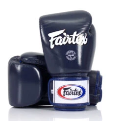 Fairtex Boxing Gloves / BGV1 / Blue