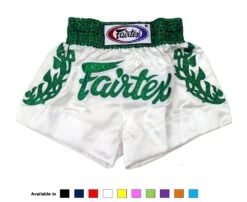 MUAY THAI SHORTS FAIRTEX HEAVENS GRASS BS0648