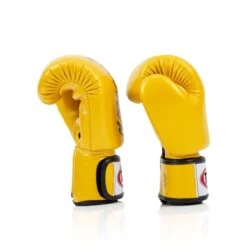 FAIRTEX BOXING GLOVES DELUXE TIGHT-FIT BGV19 - GOLD 8 FAIRTEX BOXING GLOVES DELUXE TIGHT-FIT BGV19 - GOLD -BOXING GLOVES Shop Fairtexboxingglovesbgv19gold 3