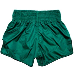 MUAY THAI SHORTS BY FAIRTEX BS1913 TONNA 9 MUAY THAI SHORTS BY FAIRTEX BS1913 TONNA -BOXING GLOVES Shop MUAYTHAISHORTSFAIRTEXBS19133