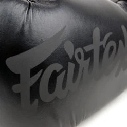 BGV14 Fairtex Black Microfiber Gloves 12 BGV14 Fairtex Black Microfiber Gloves -BOXING GLOVES Shop bgv14 fairtex black microfiber gloves 225142