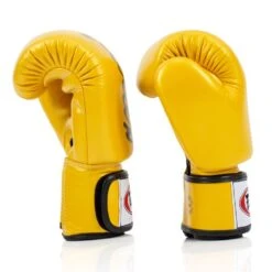 BGV19 Fairtex Gold Deluxe Tight-Fit Gloves 8 BGV19 Fairtex Gold Deluxe Tight-Fit Gloves -BOXING GLOVES Shop bgv19 fairtex gold deluxe tight fit gloves 598106
