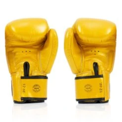 BGV19 Fairtex Gold Deluxe Tight-Fit Gloves 9 BGV19 Fairtex Gold Deluxe Tight-Fit Gloves -BOXING GLOVES Shop bgv19 fairtex gold deluxe tight fit gloves 836256