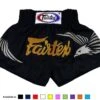 Fairtex Muay Thai Shorts King Of Sky BS0657 -BOXING GLOVES Shop bs0657