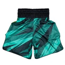 BT2007 Fairtex Boxing Shorts Two-Tone 8 BT2007 Fairtex Boxing Shorts Two-Tone -BOXING GLOVES Shop bt2007 fairtex boxing shorts two tone 633433