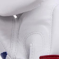 Fairtex Boxing Gloves - BGV1 Thai Pride 9 Fairtex Boxing Gloves - BGV1 Thai Pride -BOXING GLOVES Shop fairtex boxing gloves bgv1 thai pride 149671