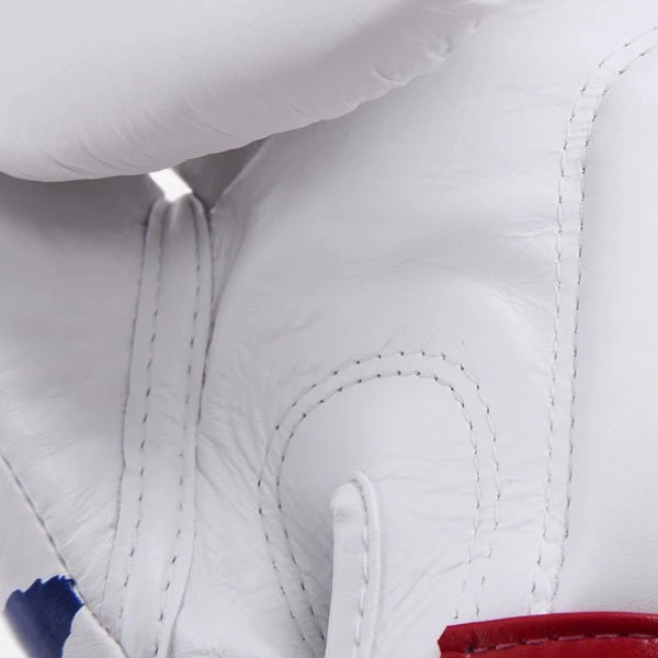 Fairtex Boxing Gloves - BGV1 Thai Pride 5 Fairtex Boxing Gloves - BGV1 Thai Pride - Image 3