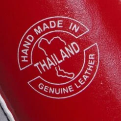 Fairtex Boxing Gloves - BGV1 Thai Pride 11 Fairtex Boxing Gloves - BGV1 Thai Pride -BOXING GLOVES Shop fairtex boxing gloves bgv1 thai pride 871987