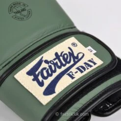 Fairtex Boxing Gloves - BGV11 F-Day -BOXING GLOVES Shop fairtex boxing gloves bgv11 f day 723231