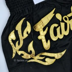 Fairtex BS0646 Eternal Gold Muay Thai Shorts 15 Fairtex BS0646 Eternal Gold Muay Thai Shorts -BOXING GLOVES Shop fairtex bs0646 eternal gold muay thai shorts 247329