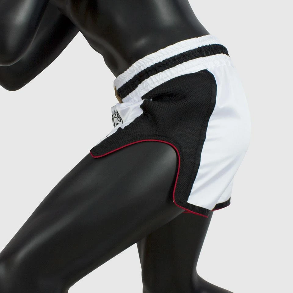 Fairtex BS1712 Slim Cut Muay Thai Shorts - Vanorn 7 Fairtex BS1712 Slim Cut Muay Thai Shorts - Vanorn - Image 5