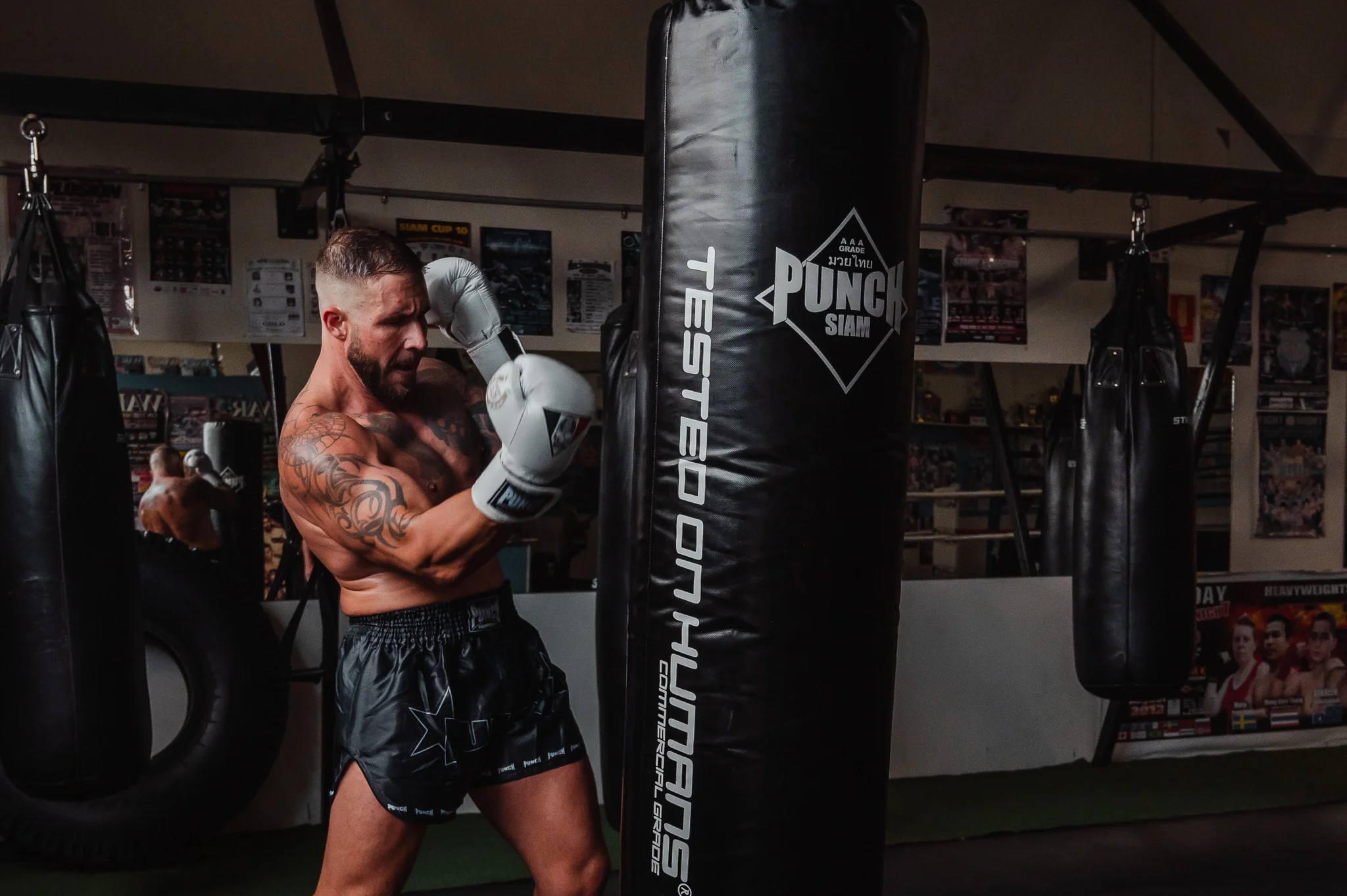 BOXING GLOVES Shop -BOXING GLOVES Shop DSC 8155